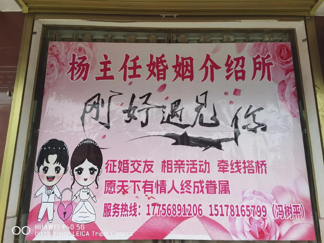 杨主任婚姻交友中心热枕为你服务#婚恋相亲#婚恋配对#牵线搭桥